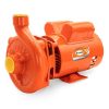 Bomba semi-profesional 2 HP