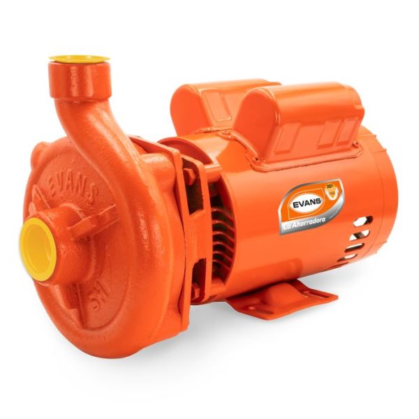 Bomba semi-profesional 2 HP