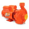 Bomba semi-profesional 3 HP