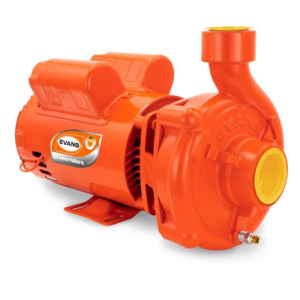 Bomba semi-profesional 3 HP